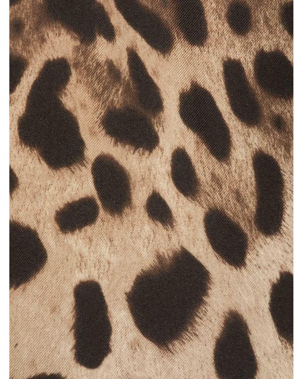 Dolce & Gabbana Black Leopard Print Scarf