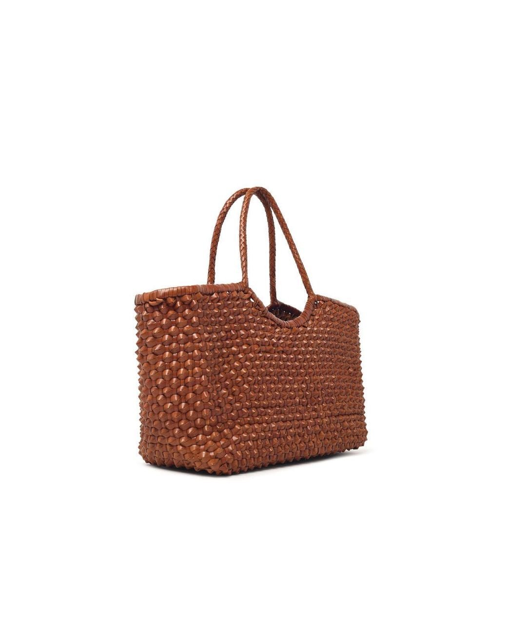 Dragon Diffusion Brown 'Nantucket Cactus' 'Tan