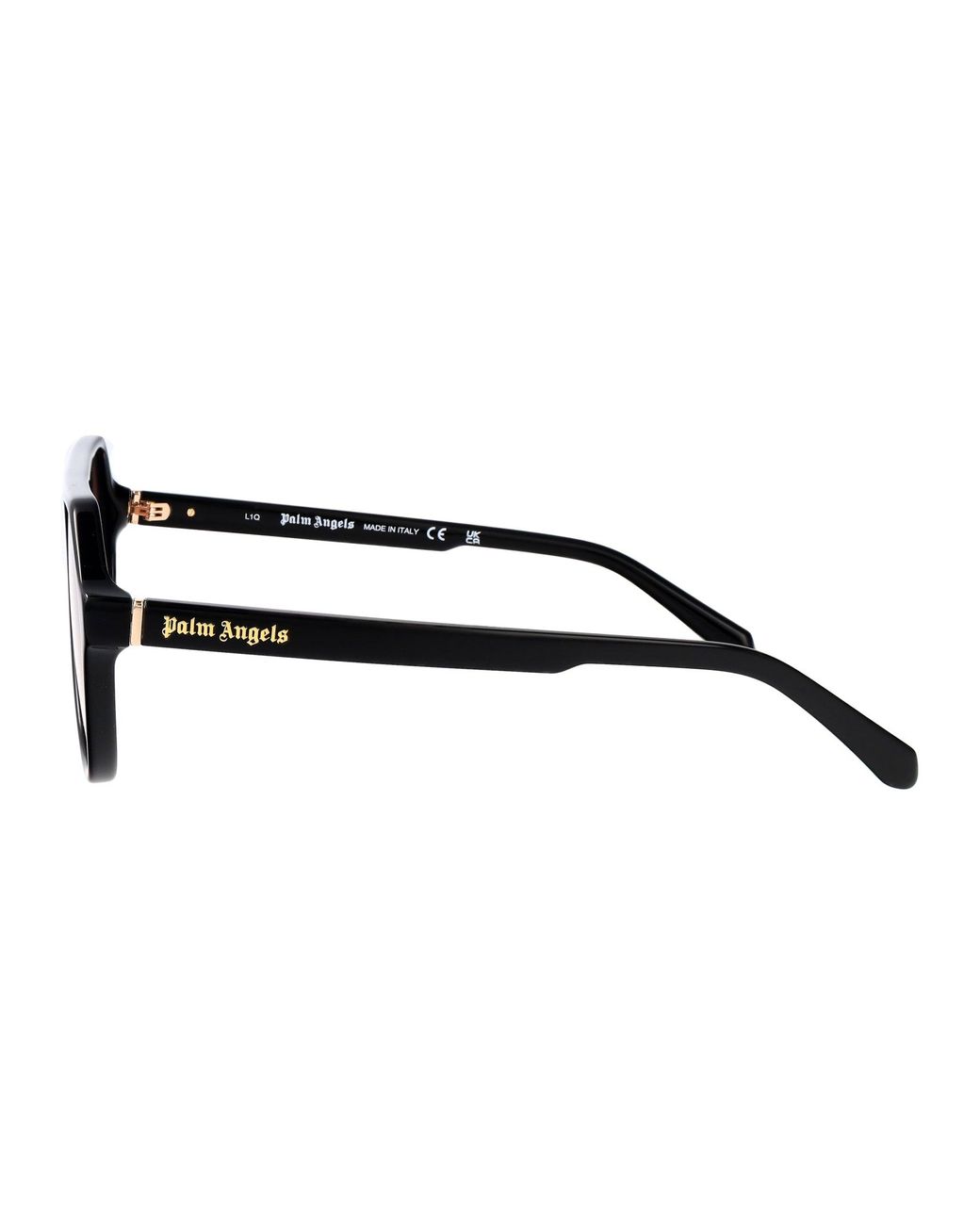 Palm Angels Brown Sunglasses Pa1026 106 C