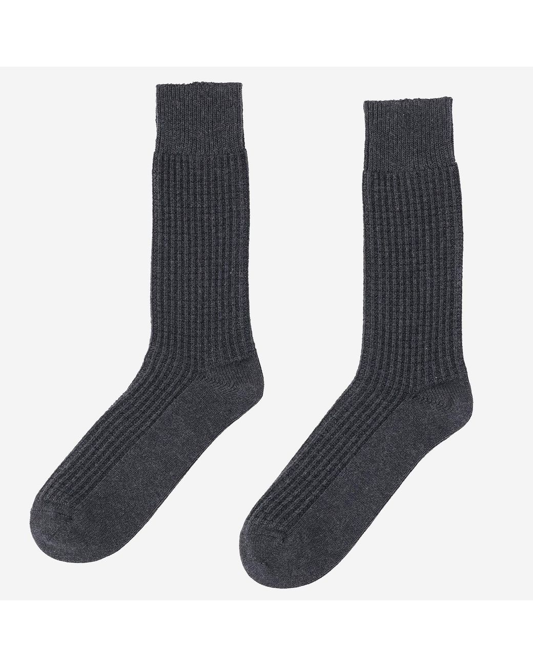 ANT45 Blue Ribbed Cotton Socks With Logo