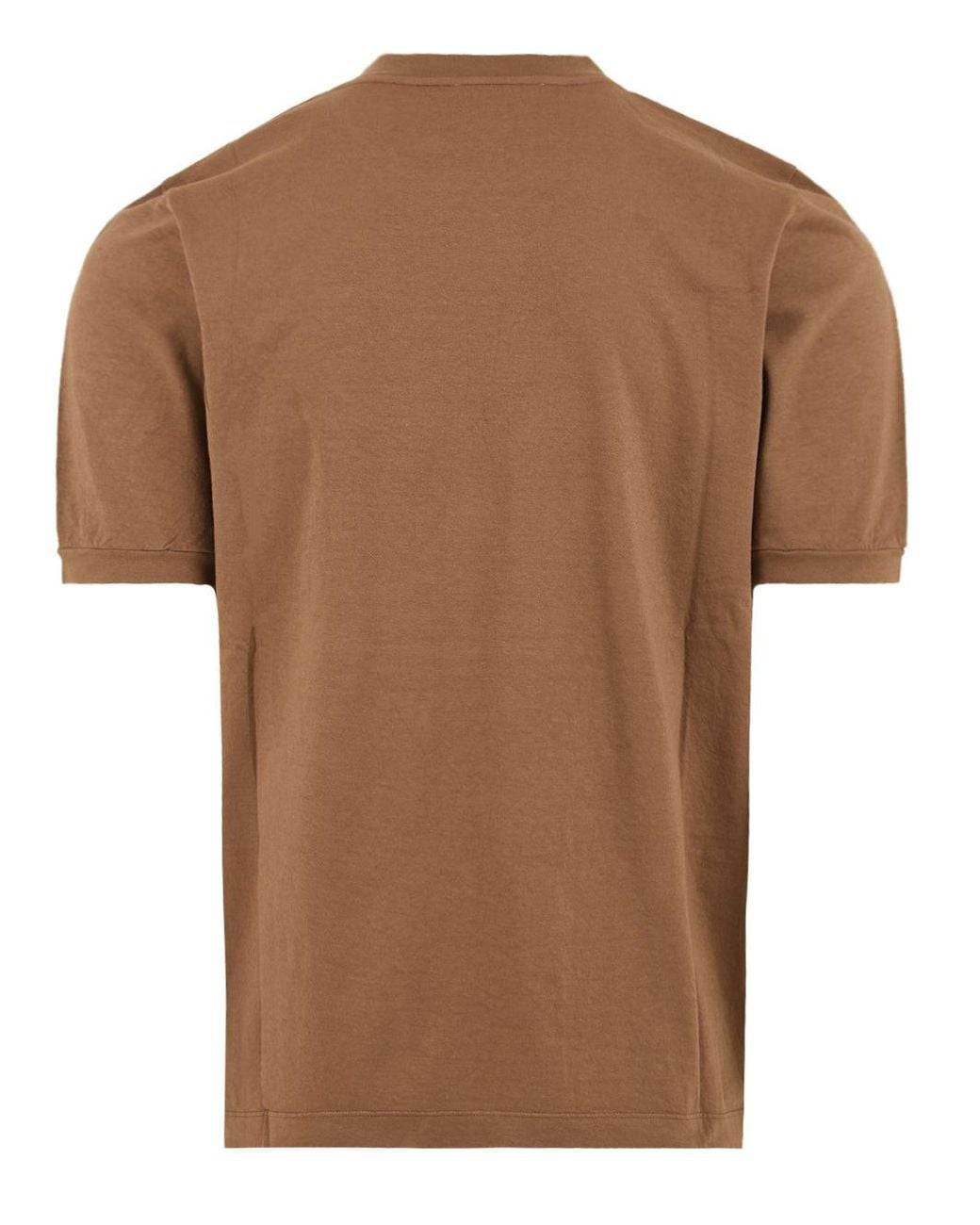 Malo Brown T Shirts And Polos for men