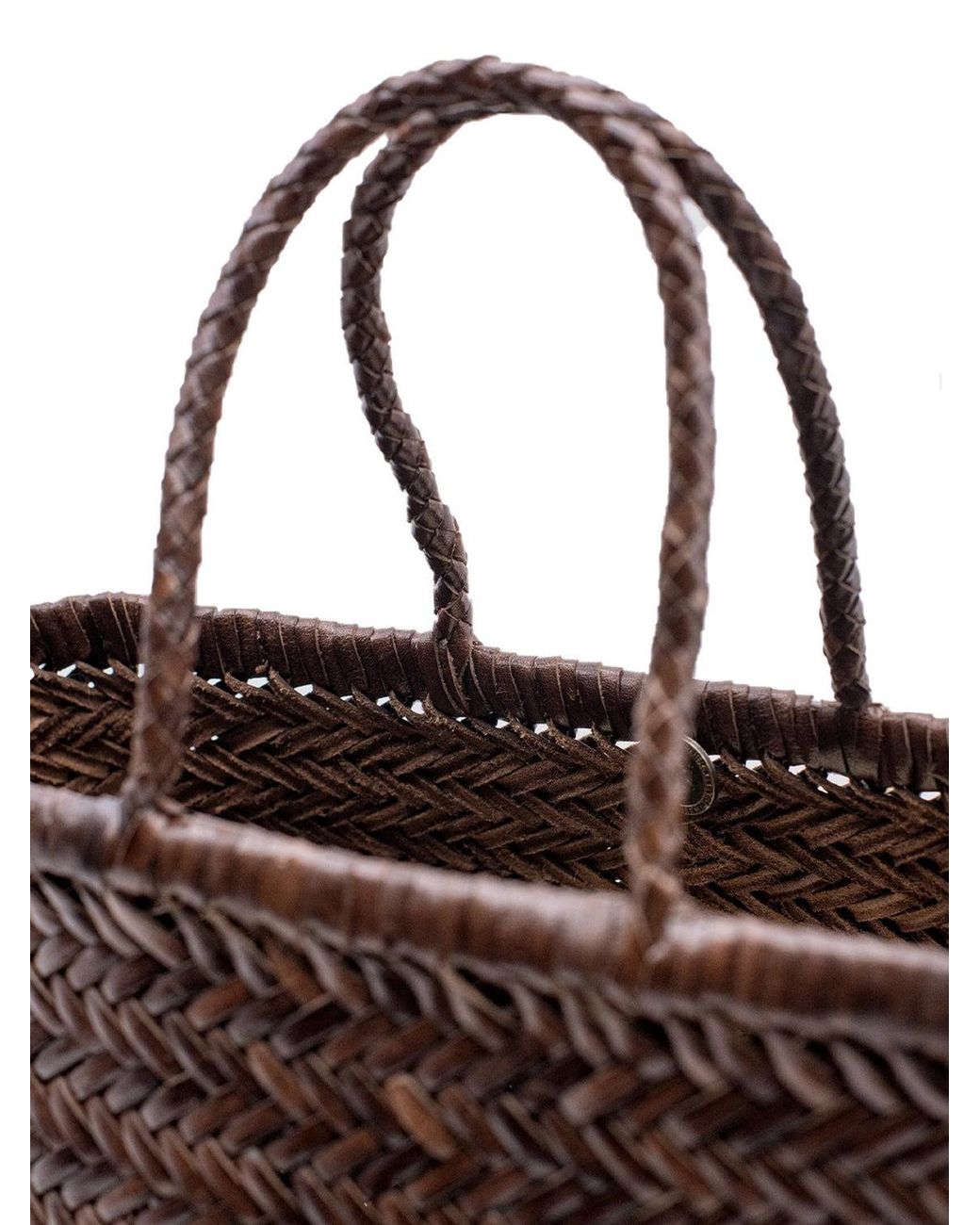 Dragon Diffusion Brown Bags