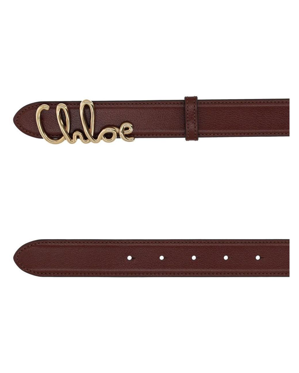 Chloé Brown Iconic Belt