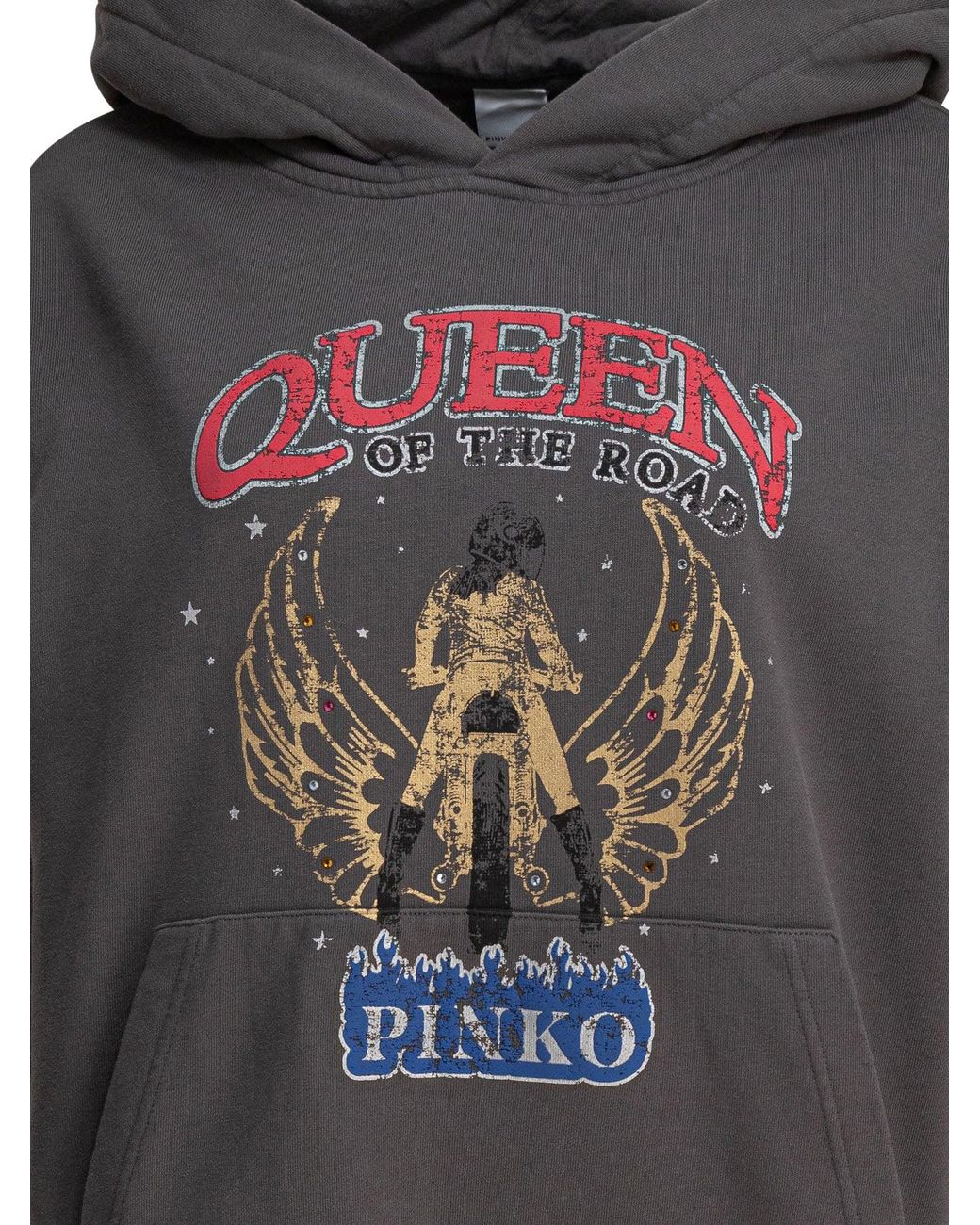 Pinko Sweatshirts in het Gray
