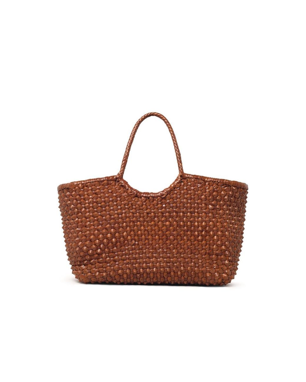 Dragon Diffusion Brown 'Nantucket Cactus' 'Tan