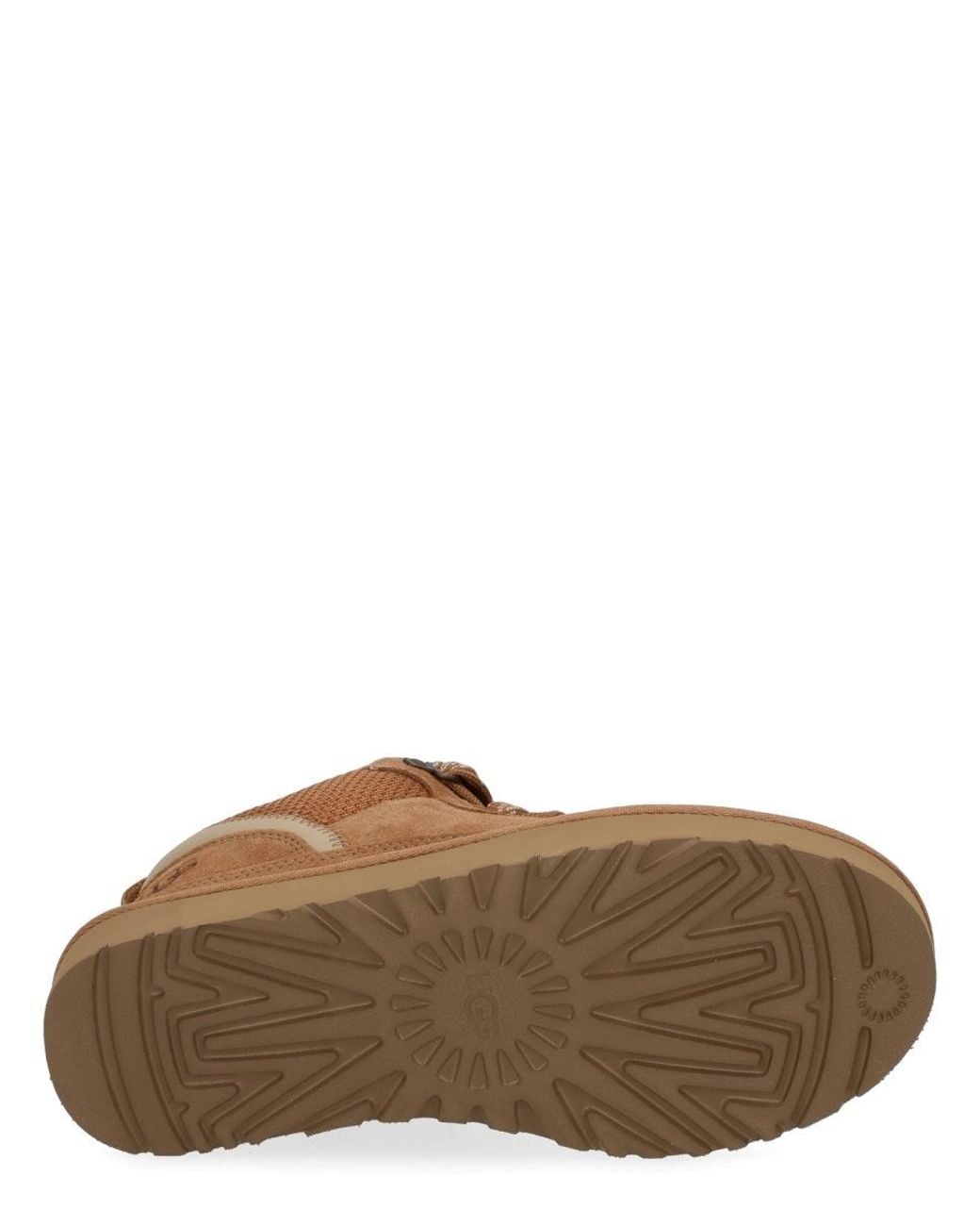 Ugg Brown Lowmel Sneakers