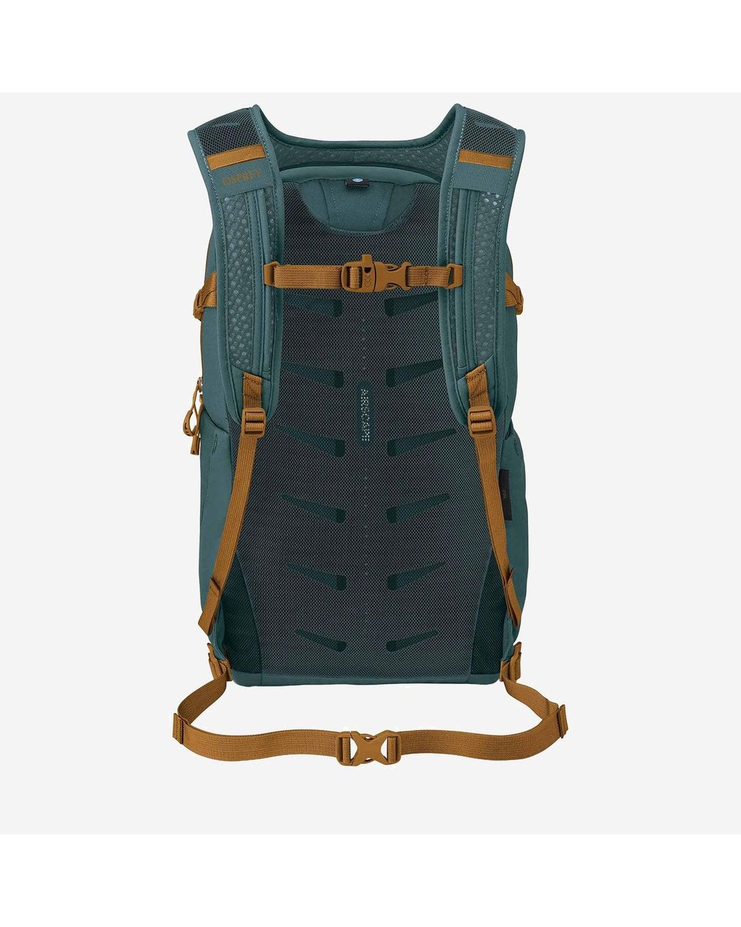 Osprey Green Osprey for men