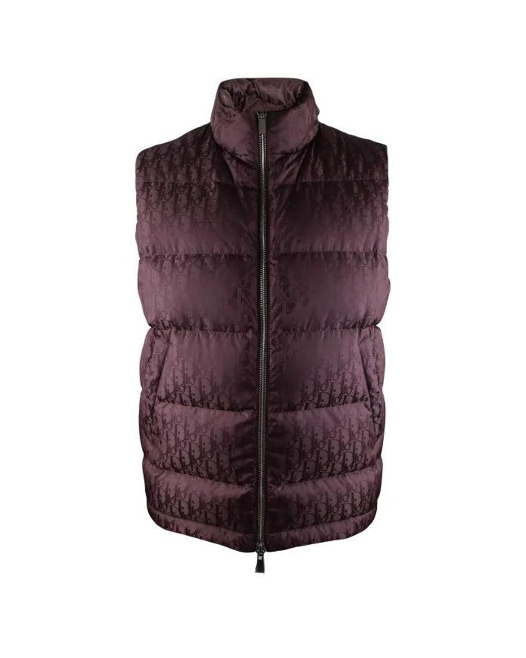 Dior Oblique-donsvest in het Purple