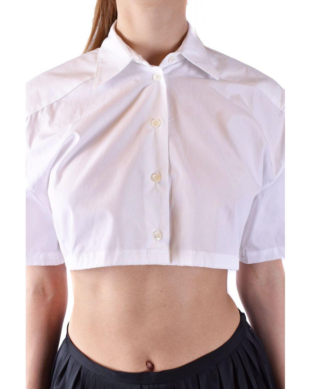 Laneus Wit in het White