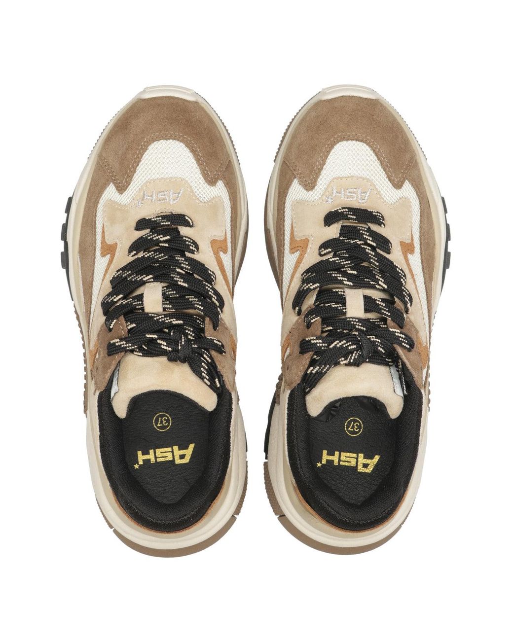 Ash Brown Sneakers