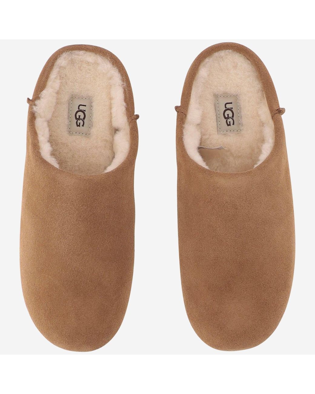 Ugg Brown Elea Suede Clogs