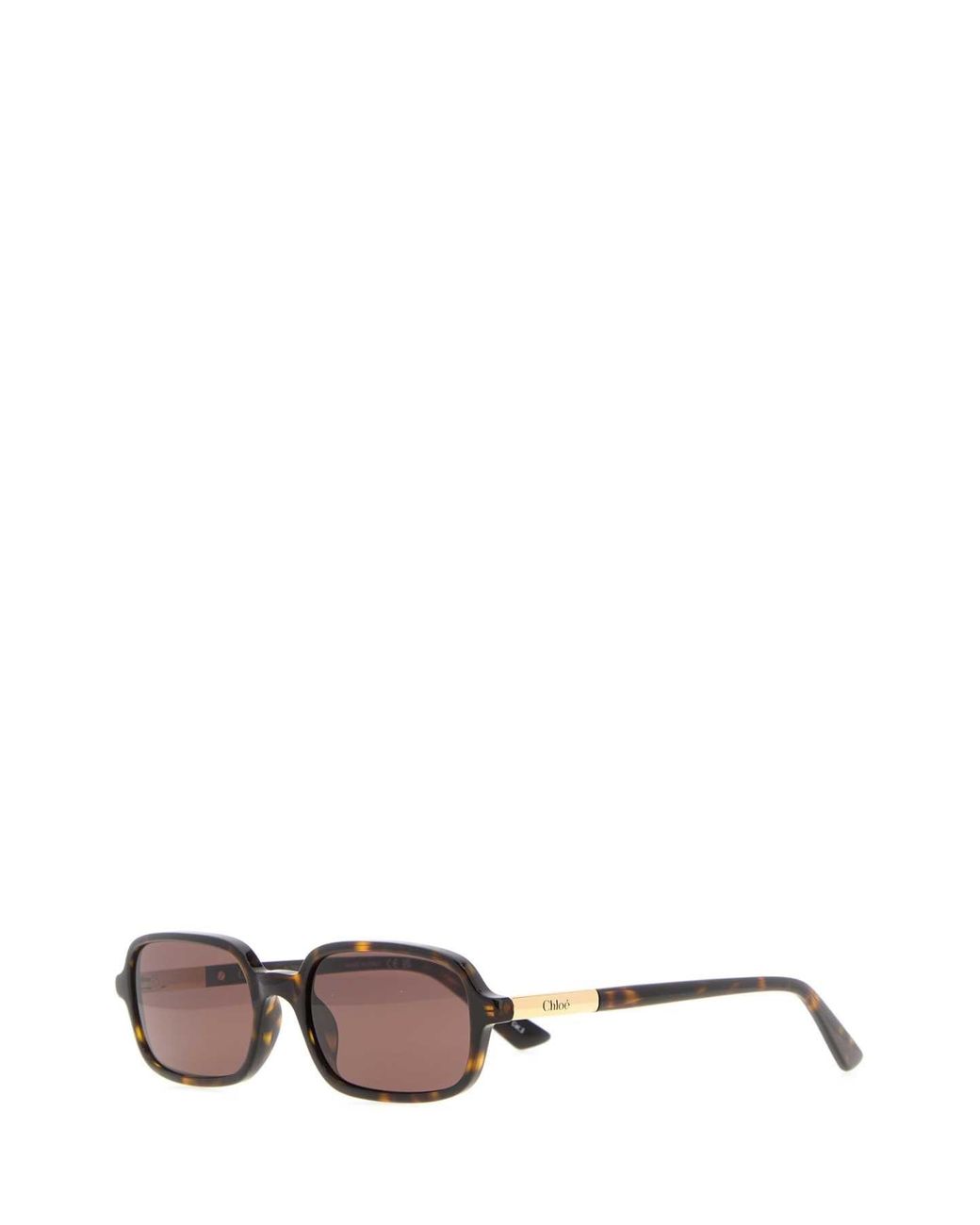 Chloé Brown Acetate Judy Sunglasses