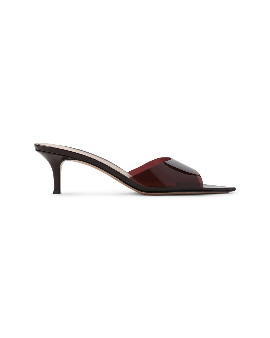 Gianvito Rossi Brown Elle 55 Mini Mules