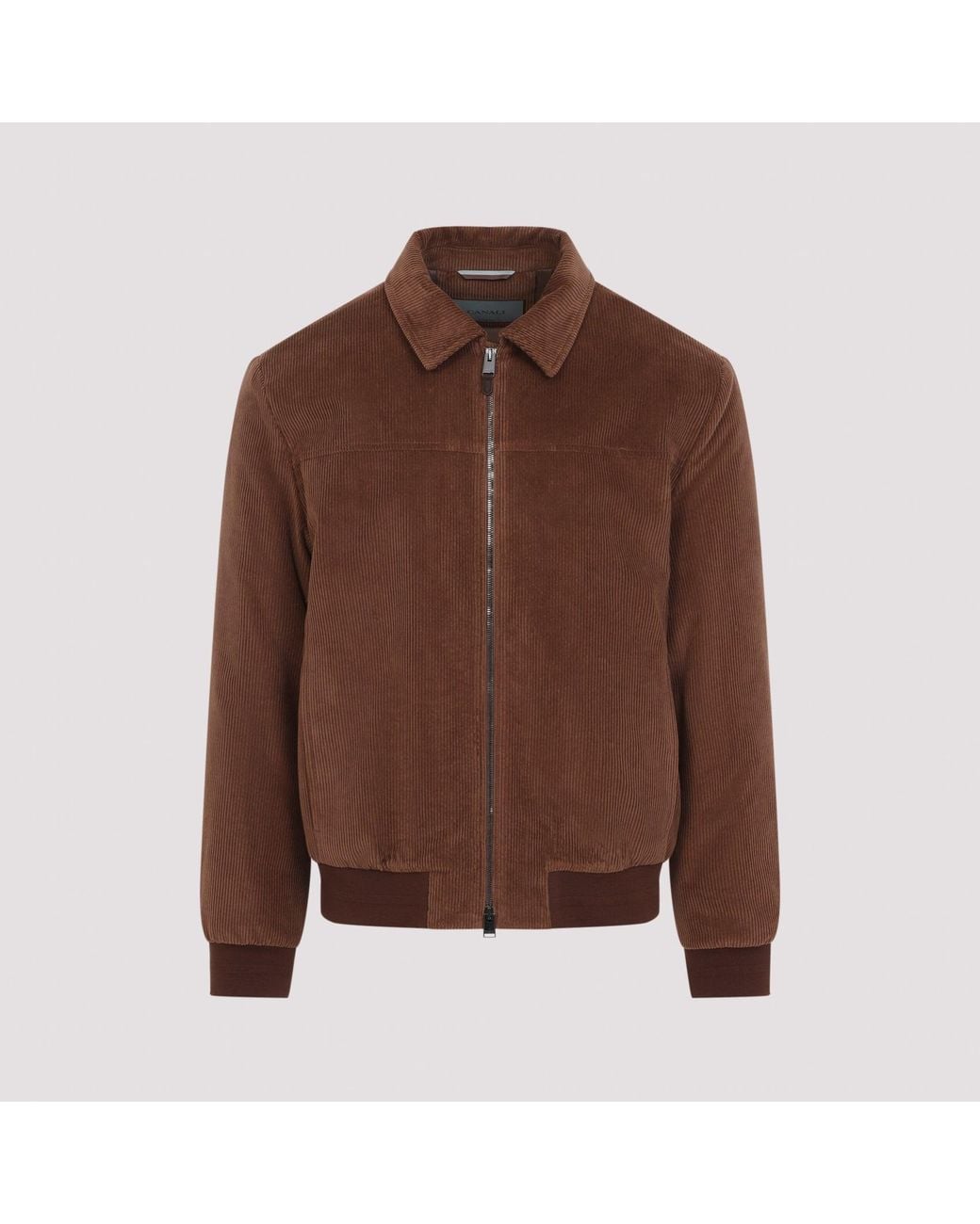 Canali Bomberjack in het Brown