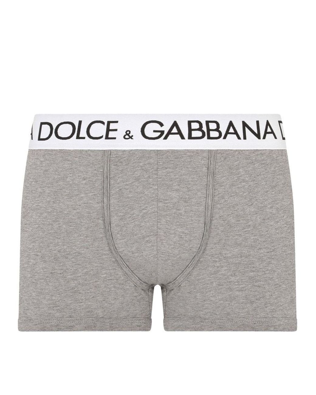 Dolce & Gabbana Gray Regular Fit Boxer Shorts