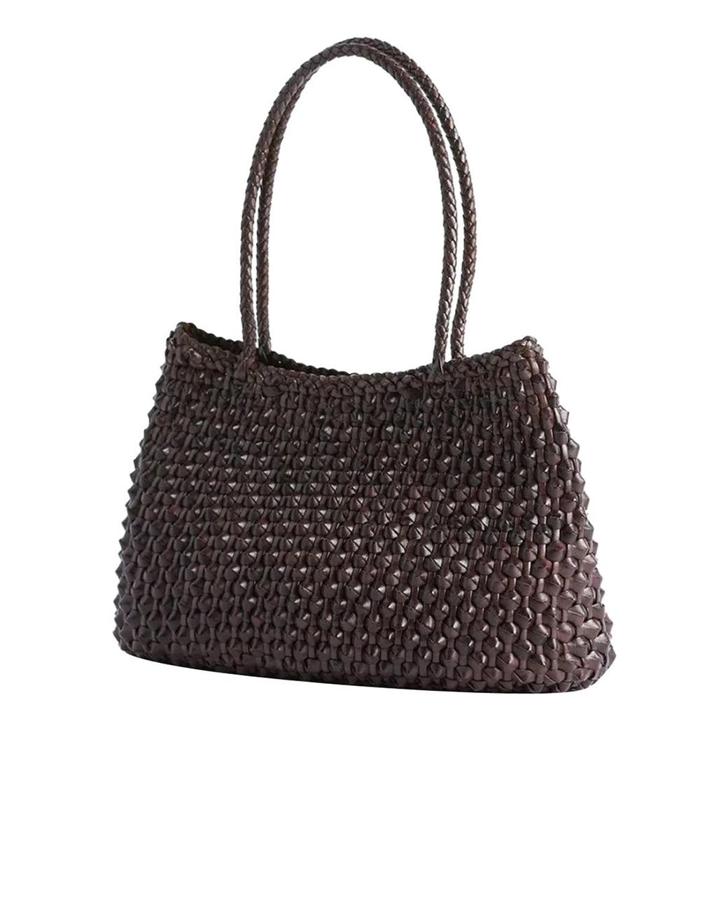 Dragon Diffusion Brown Bags