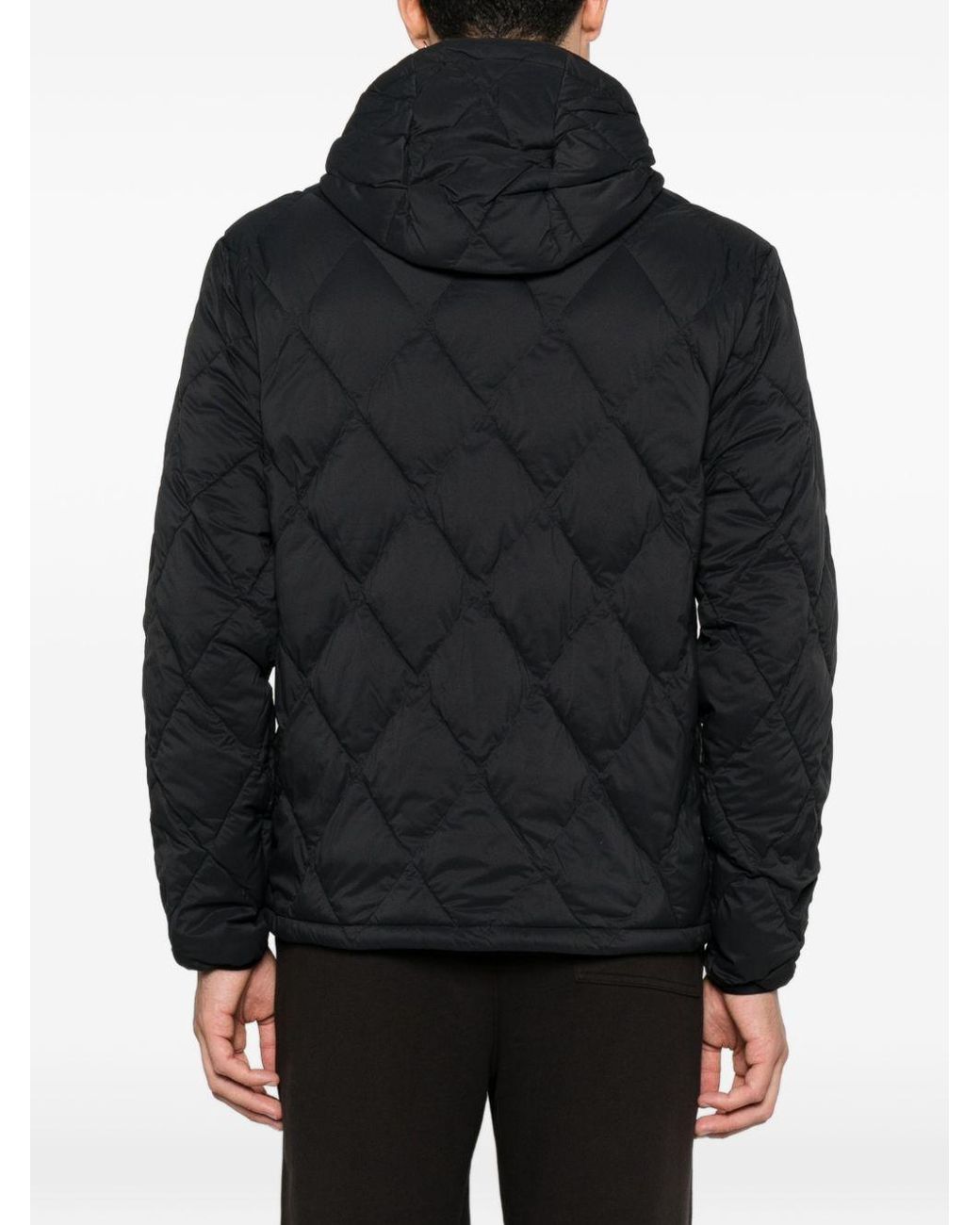 Burberry Black Hescott Nylon Blouson Jacket