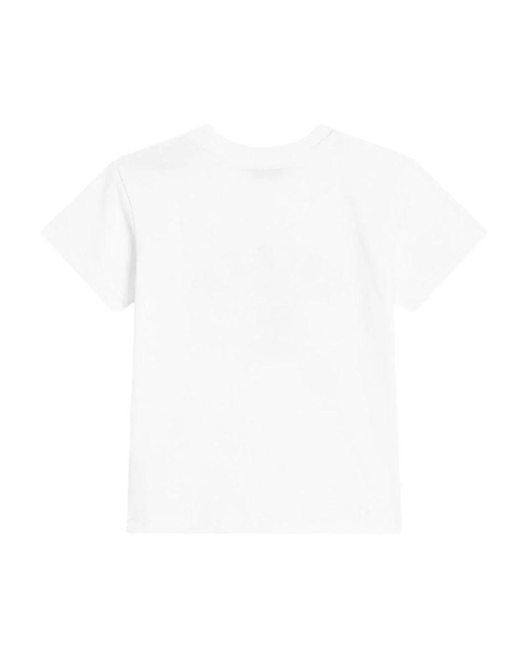 Dolce & Gabbana White Dolce & Gabbana T-Shirt With Logo