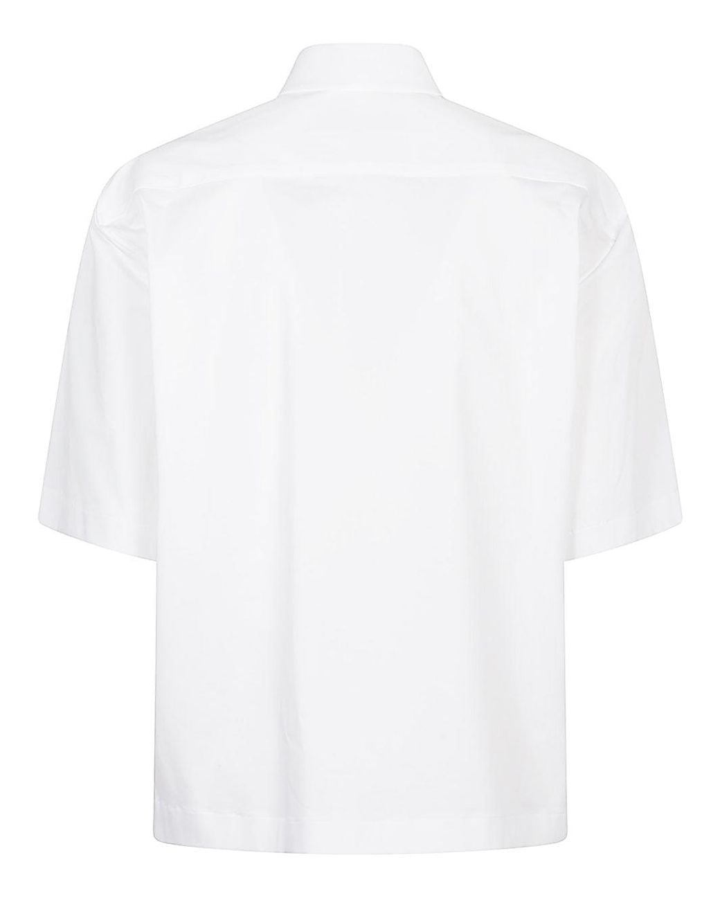 THE LATEST White Shirts