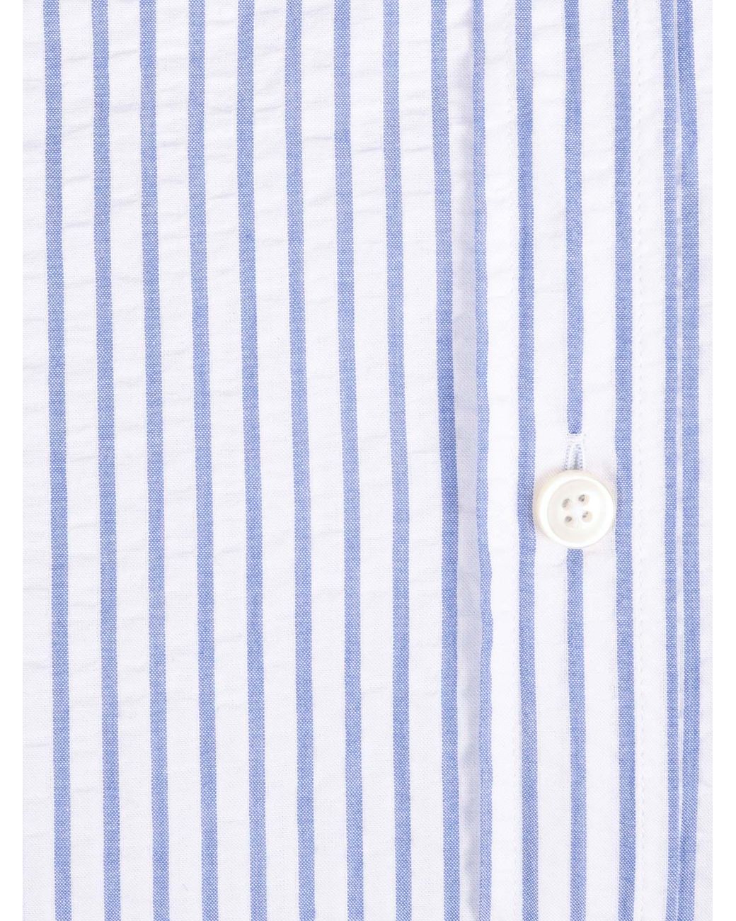 Xacus Blue Camicia