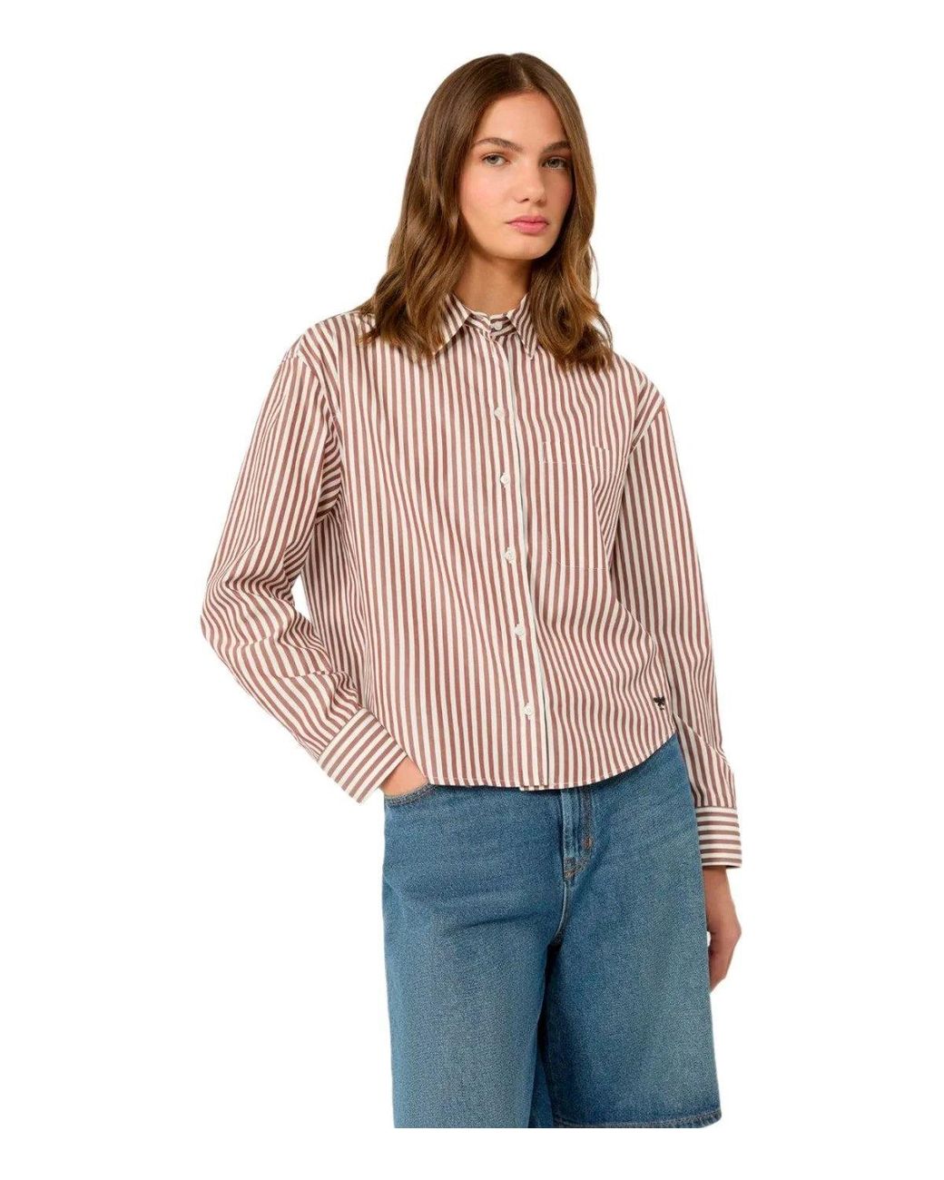 Weekend by Maxmara Brown Panetto And Striped Shirt
