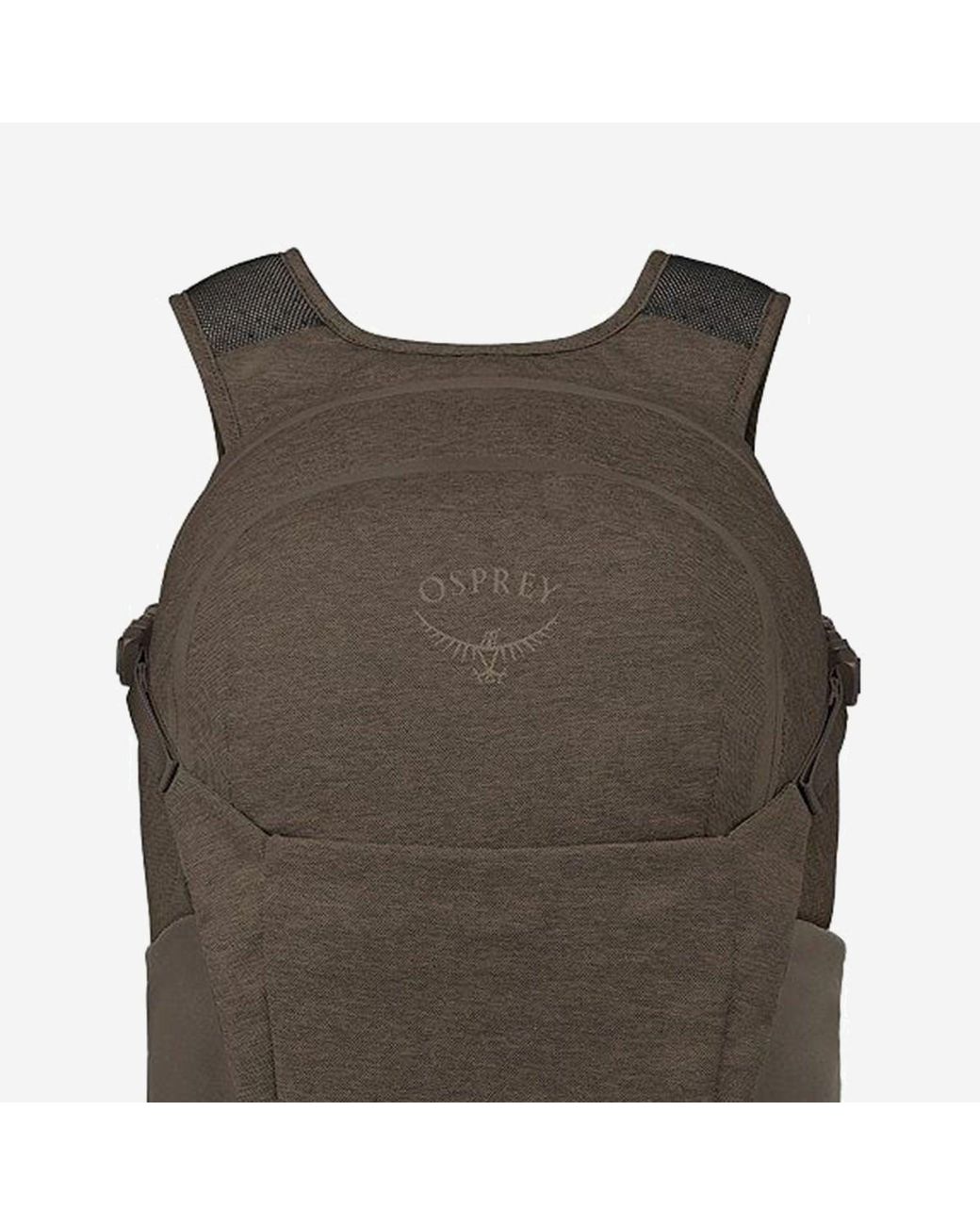 Osprey Brown Daylite Plus Backpack