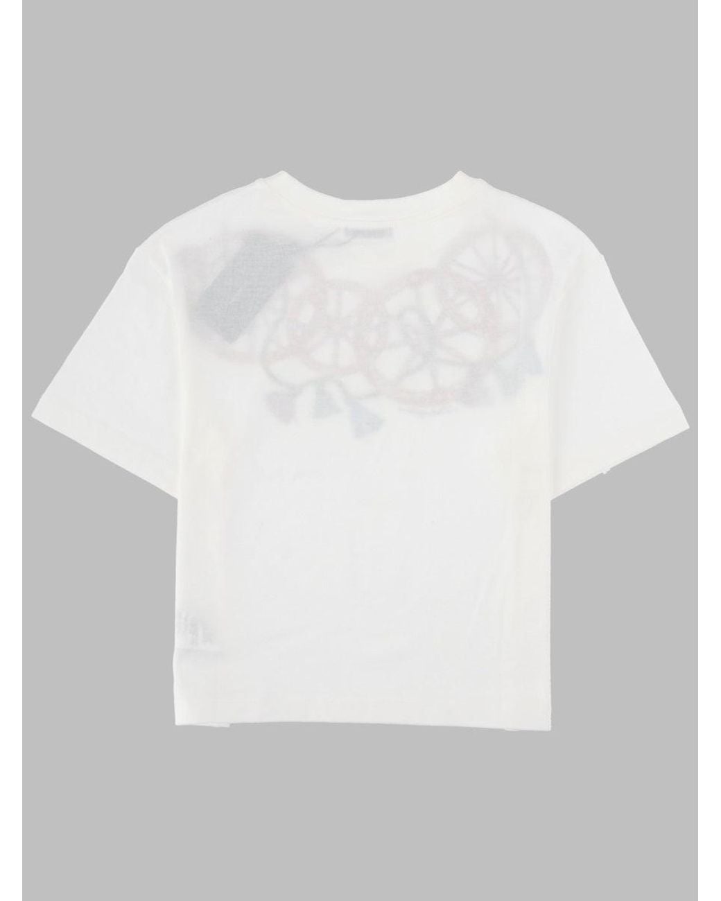 Dolce & Gabbana Gray T Shirt Manica Corta Con Stampa