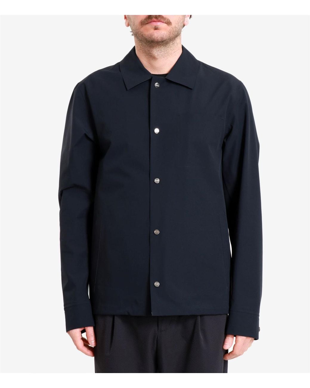 Herno Blue Coats