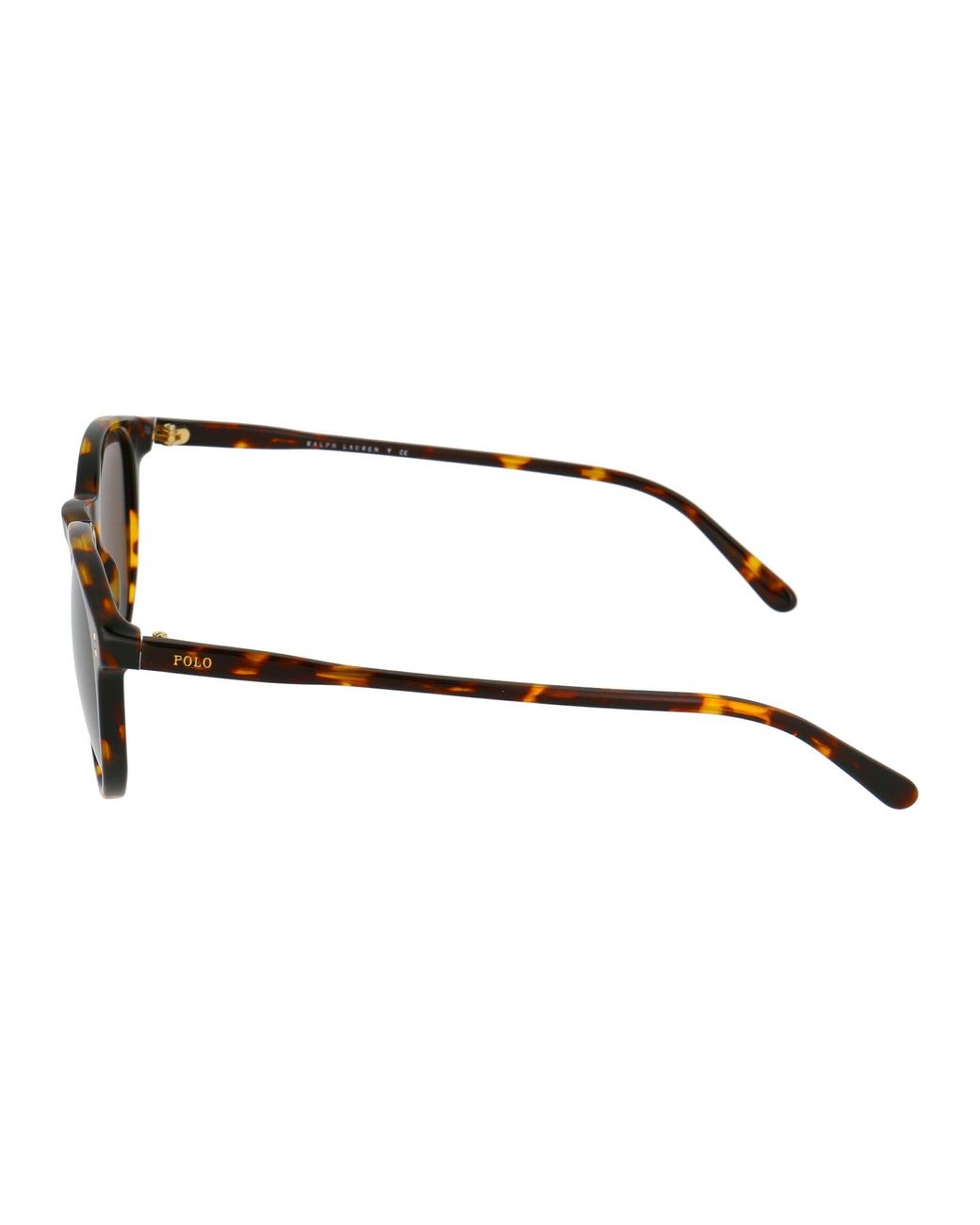 Polo Ralph Lauren Brown Sunglasses