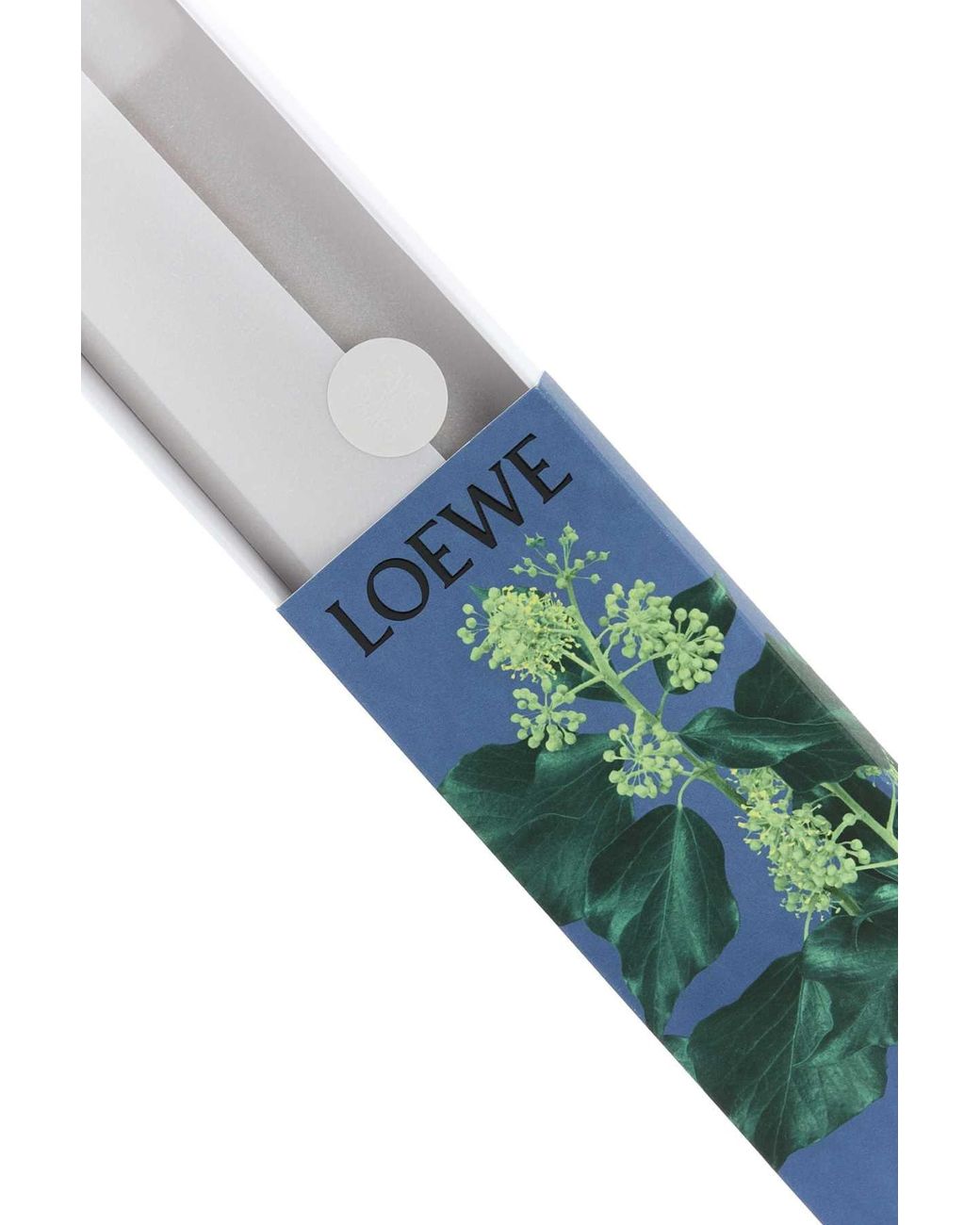 Loewe Green Ivy Incense Sticks
