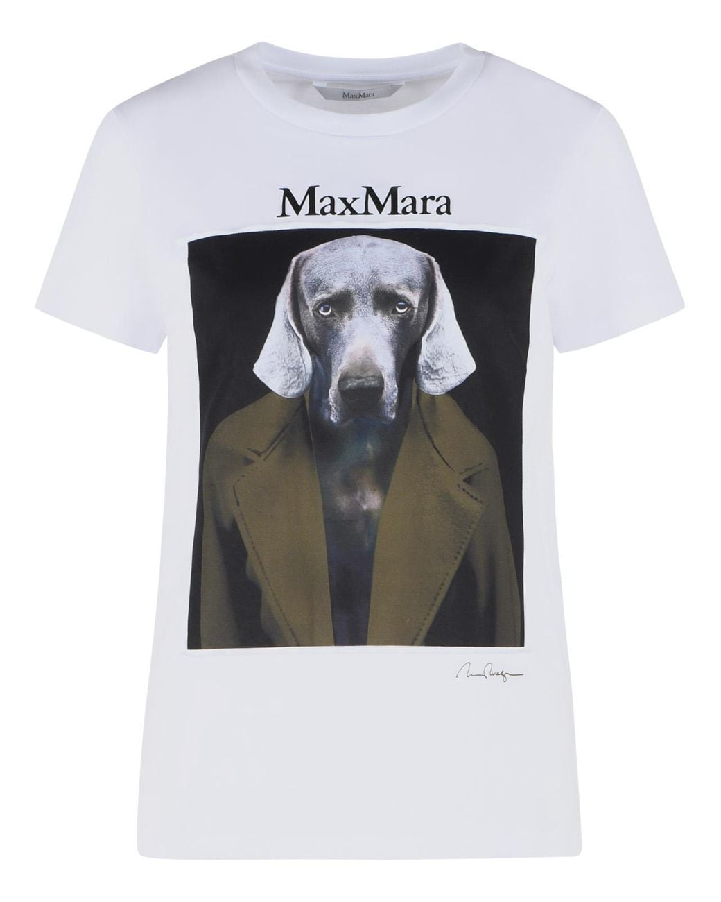 Max Mara Green 'Calca' Cotton Sweater