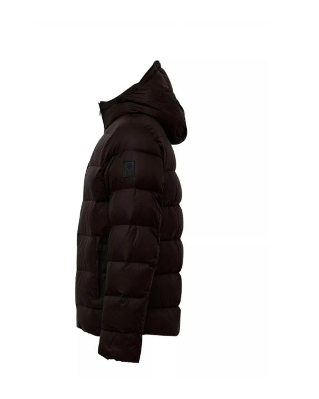 Fay Db Capuchon Met Capuchon in het Black