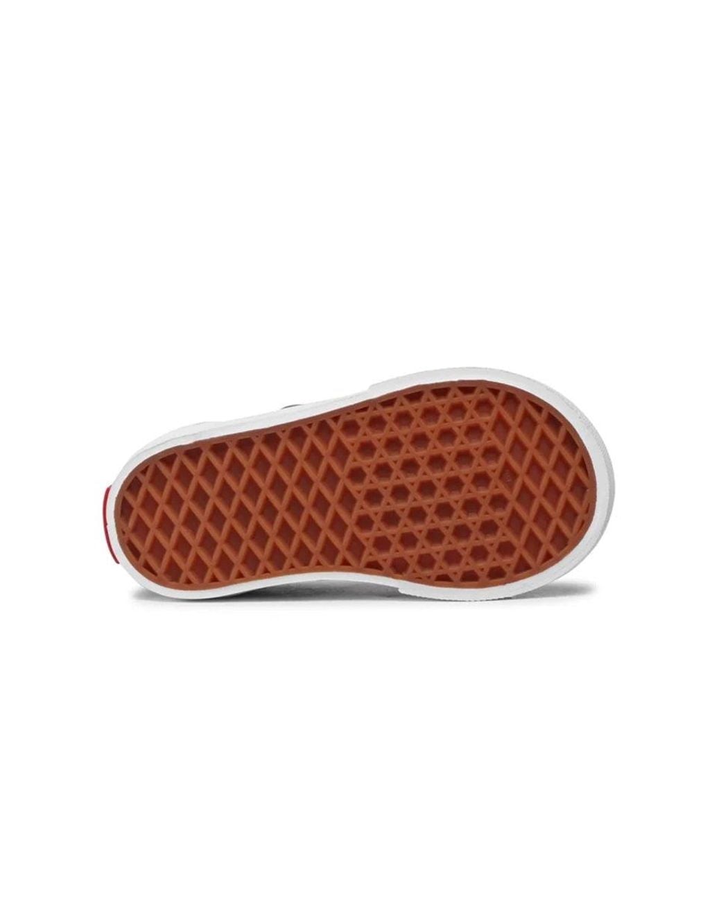 Vans Black Sneaker "Era Elastic Lace (Flame Logo)