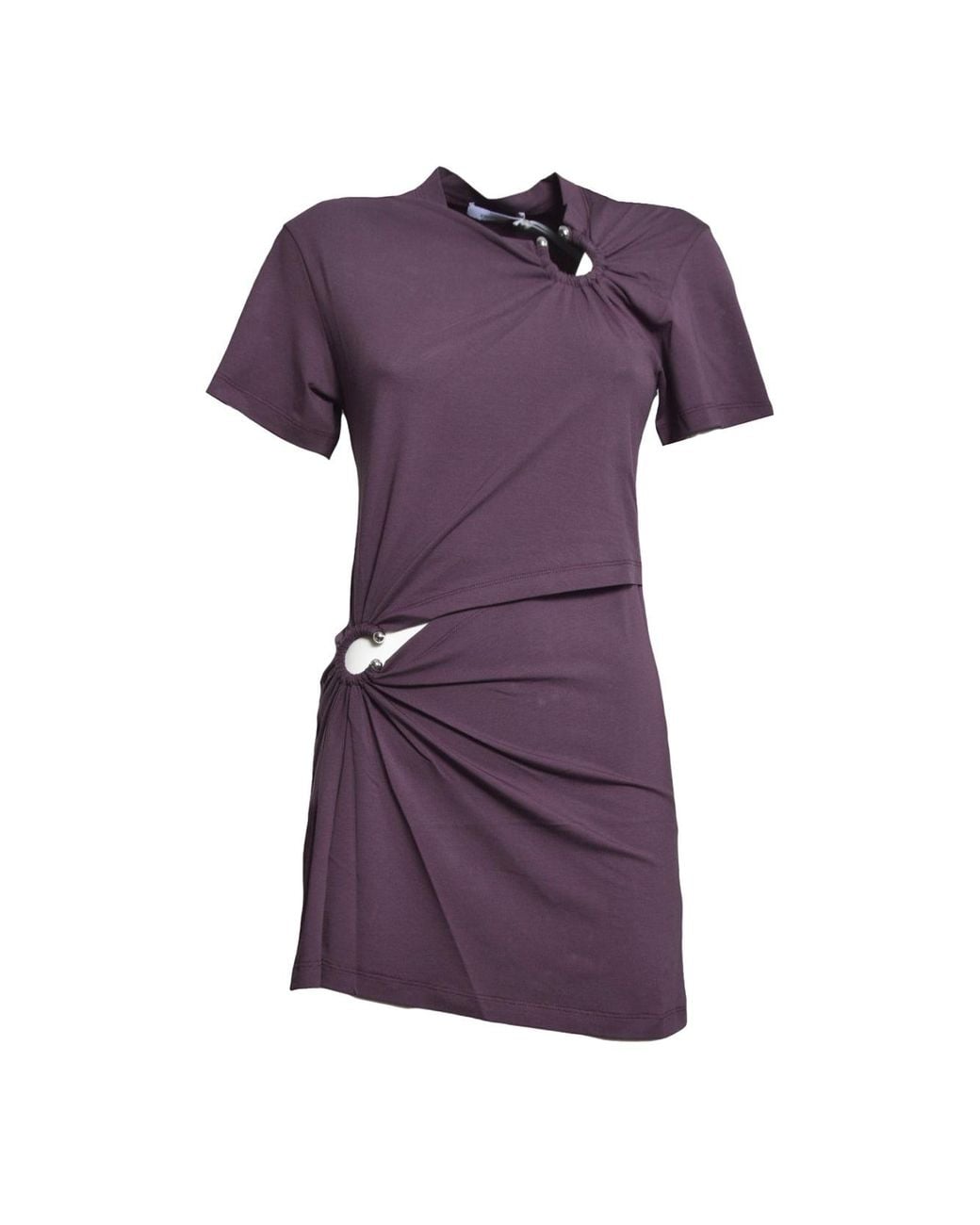 Rabanne Jurken in het Purple