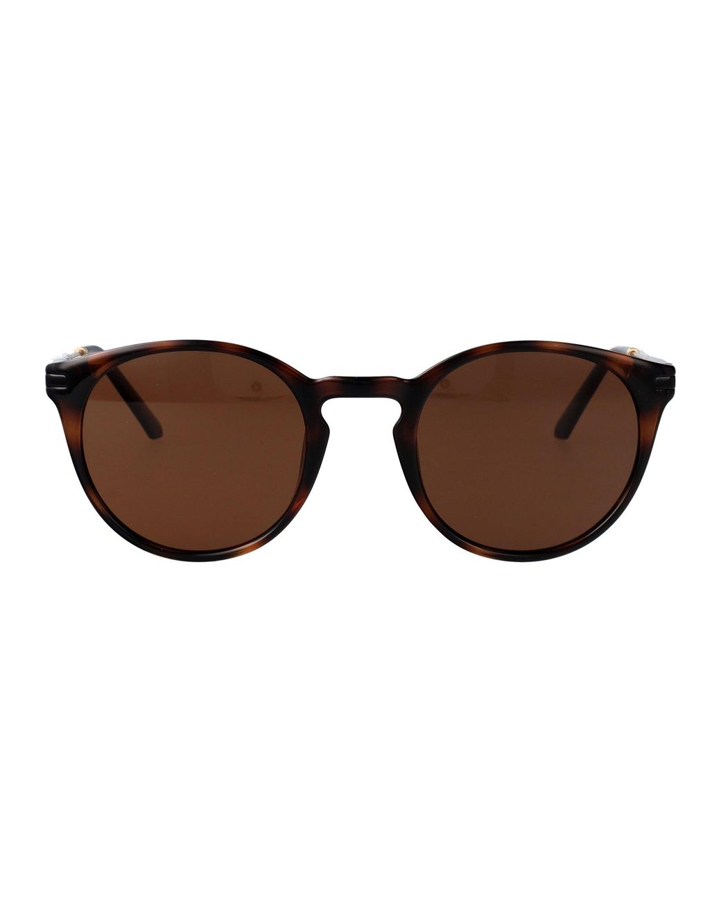 Calvin Klein Brown Injected Sunglasses