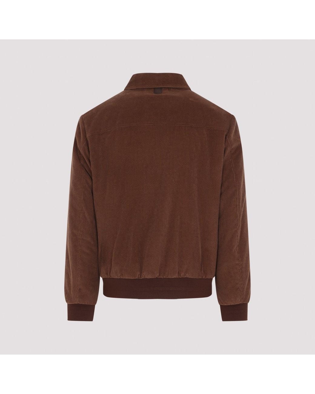 Canali Bomberjack in het Brown