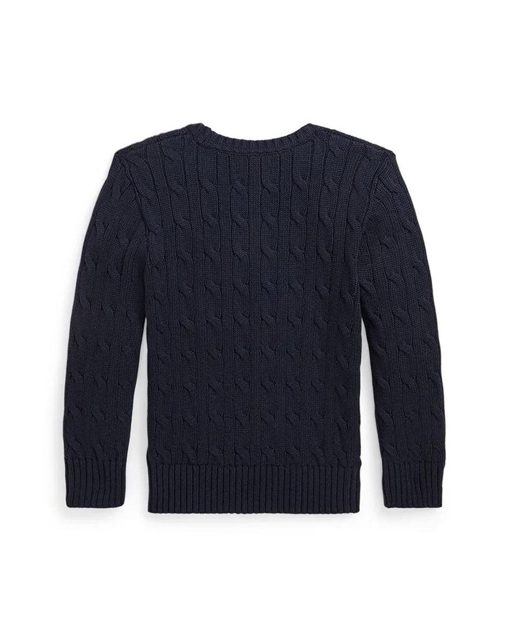 Polo Ralph Lauren Blue Shirt