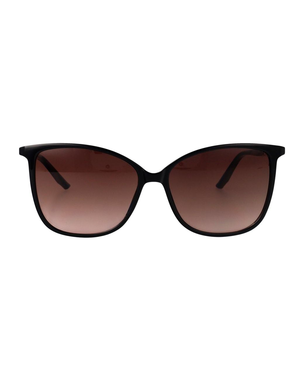 Calvin Klein Brown Injected Sunglasses