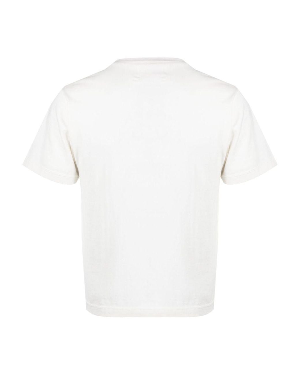 Extreme Cashmere White Cotton And Cashmere T Shirt