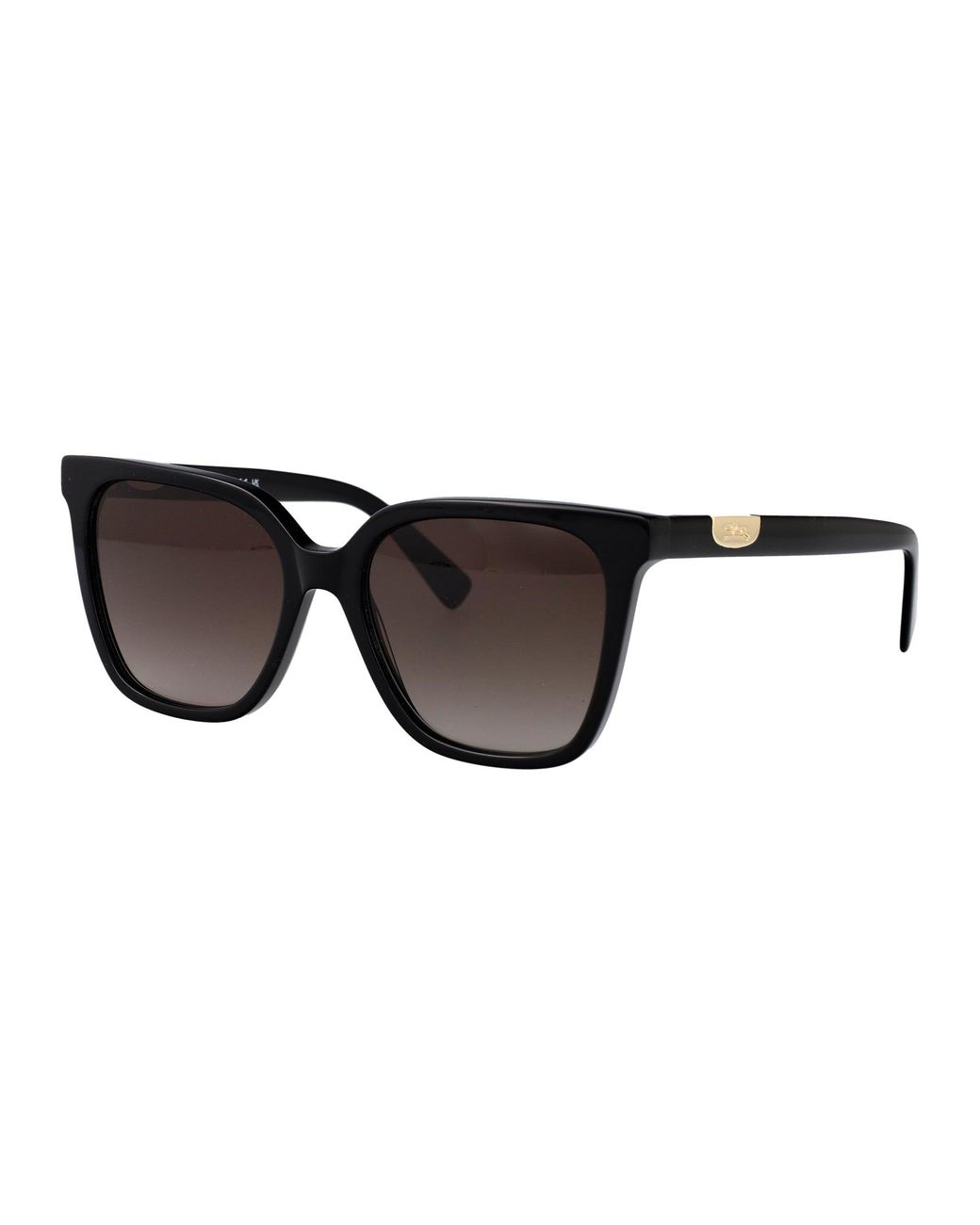 Longchamp Black Sunglasses