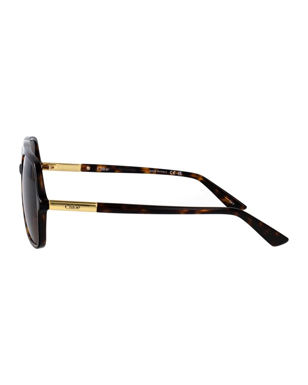 Chloé Brown Havana-Havana- Acetate Sunglasses
