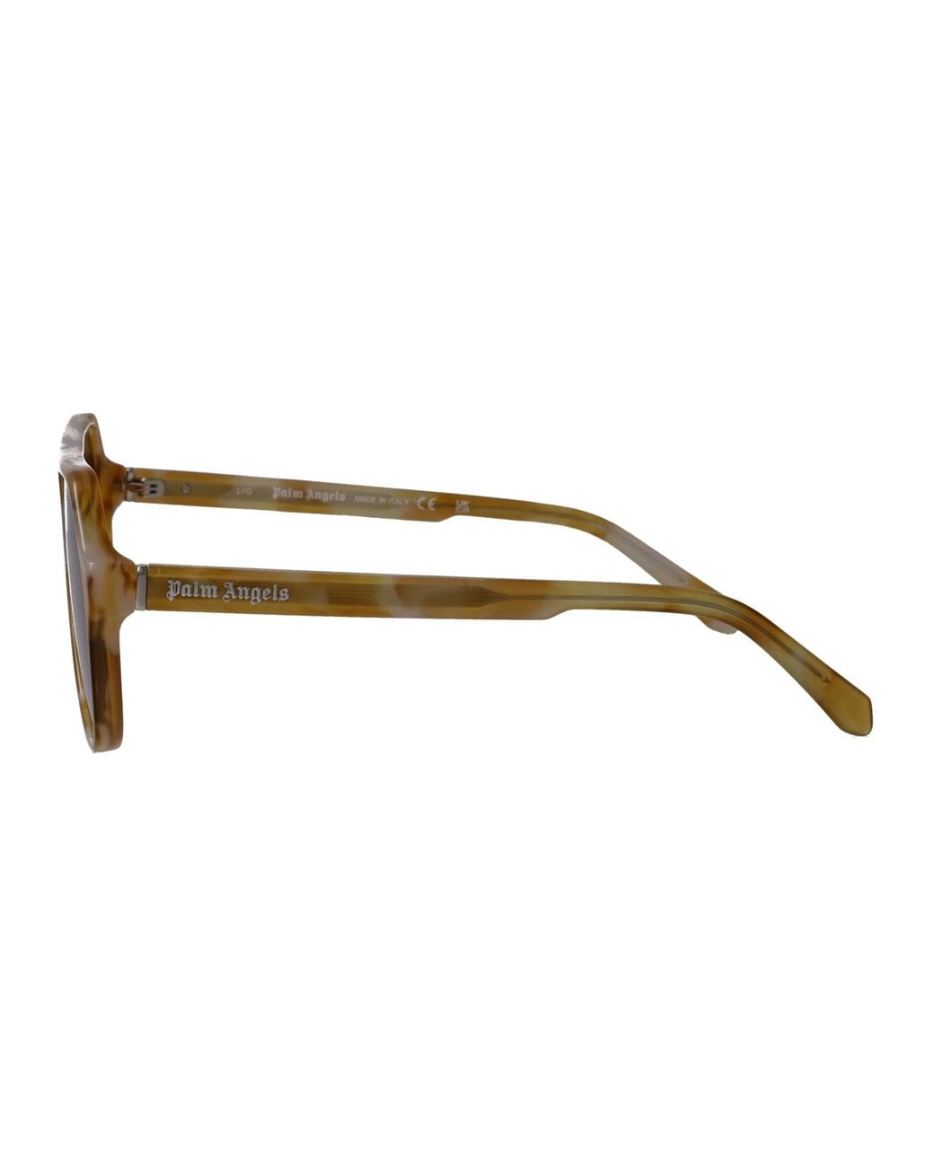 Palm Angels Brown Sunglasses Pa1026 6000