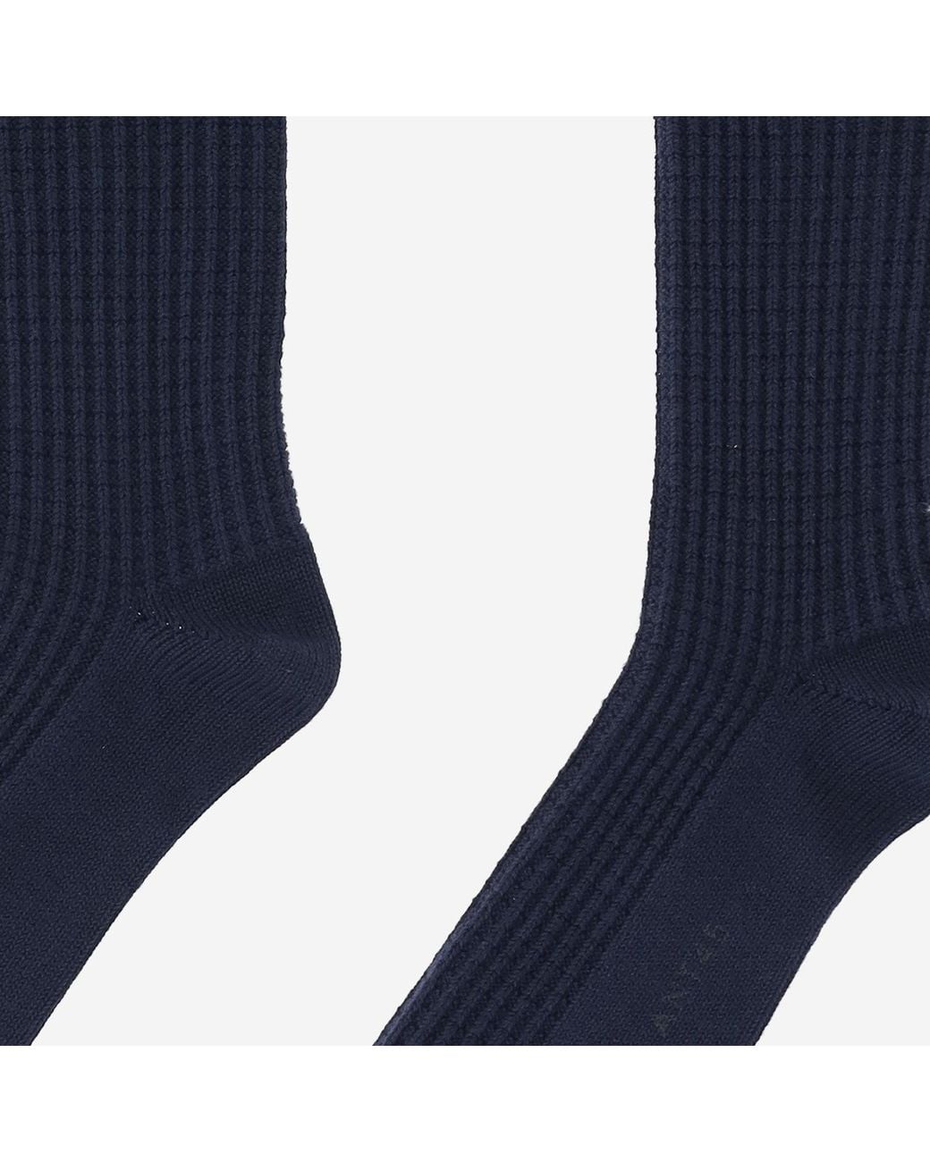 ANT45 Blue Ribbed Cotton Socks With Logo