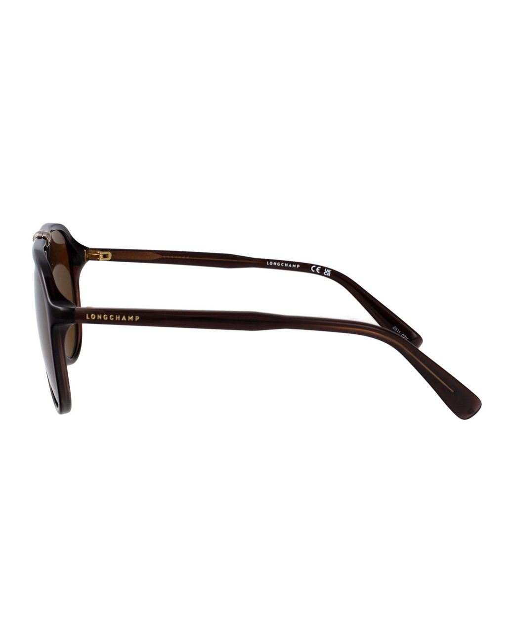 Longchamp Brown Transparent Injected Sunglasses