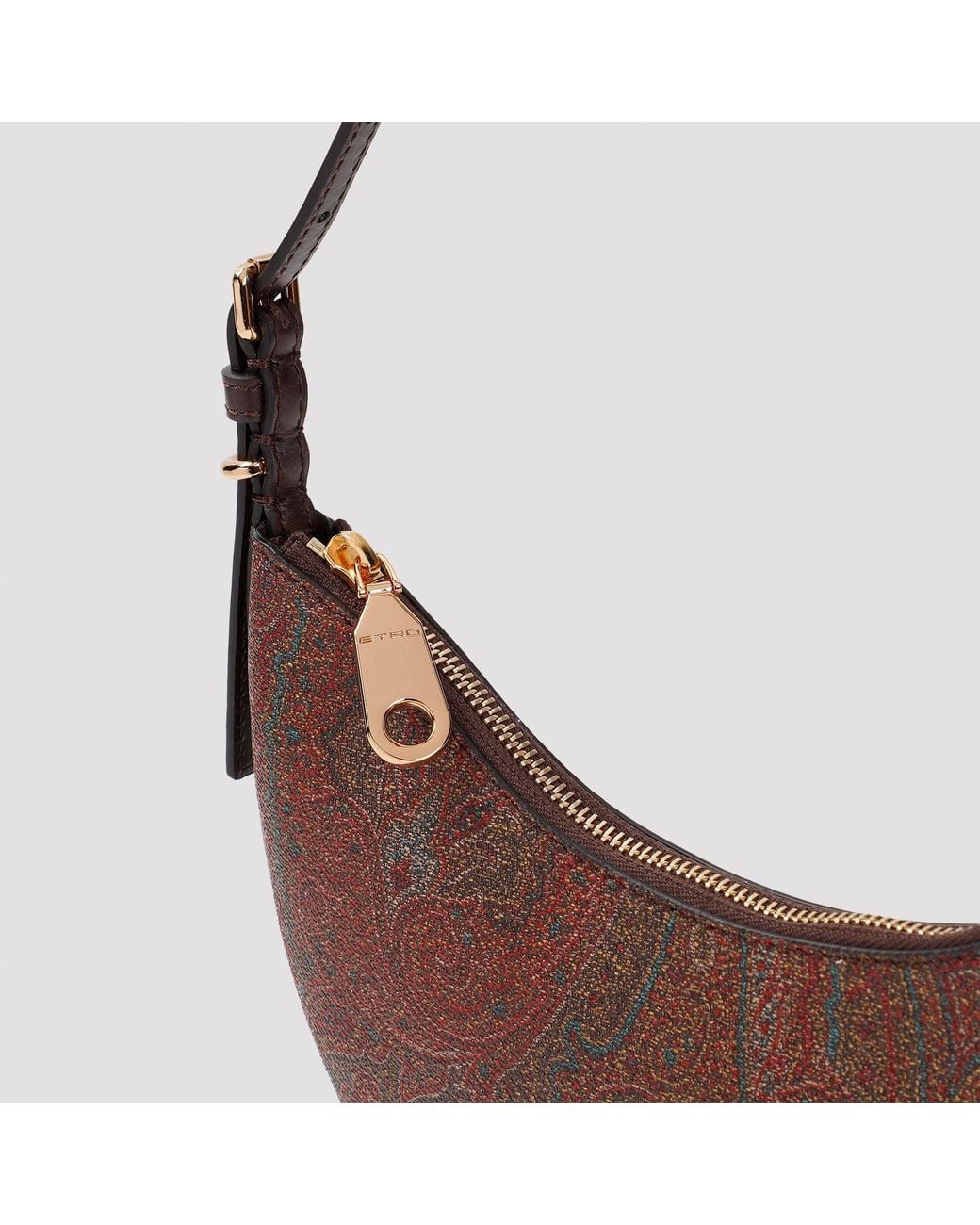 Etro Brown Handbag