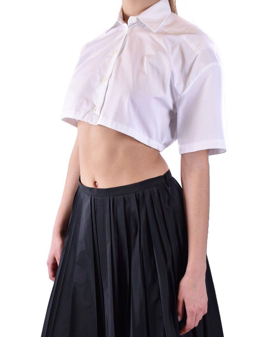 Laneus Wit in het White