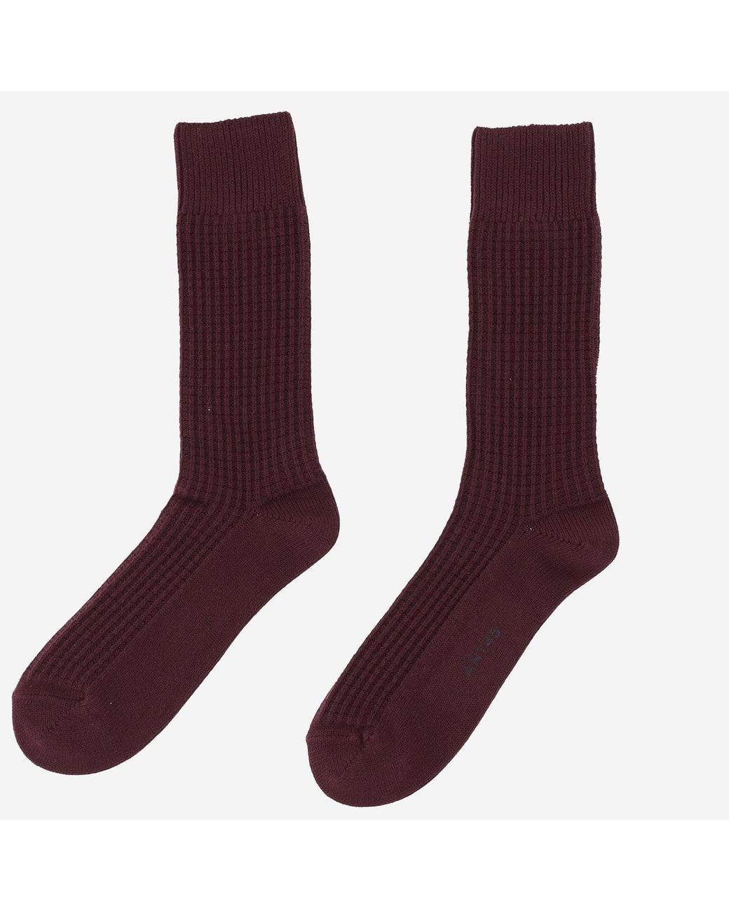 ANT45 Purple Ribbed Cotton Socks With Logo
