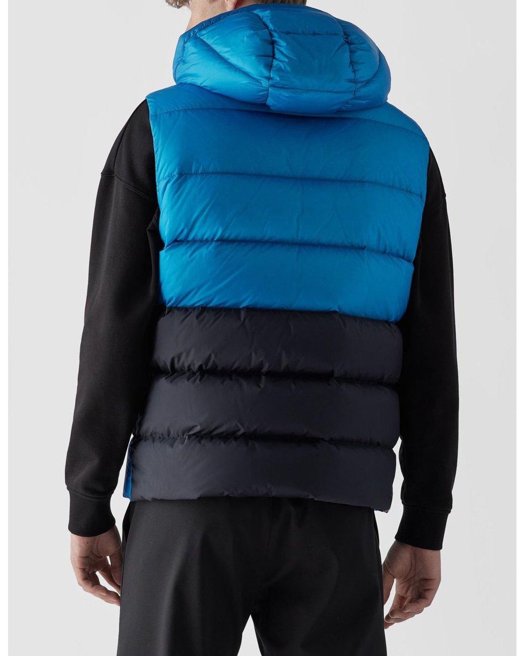 Moose Knuckles Synthetic Orwell Down 