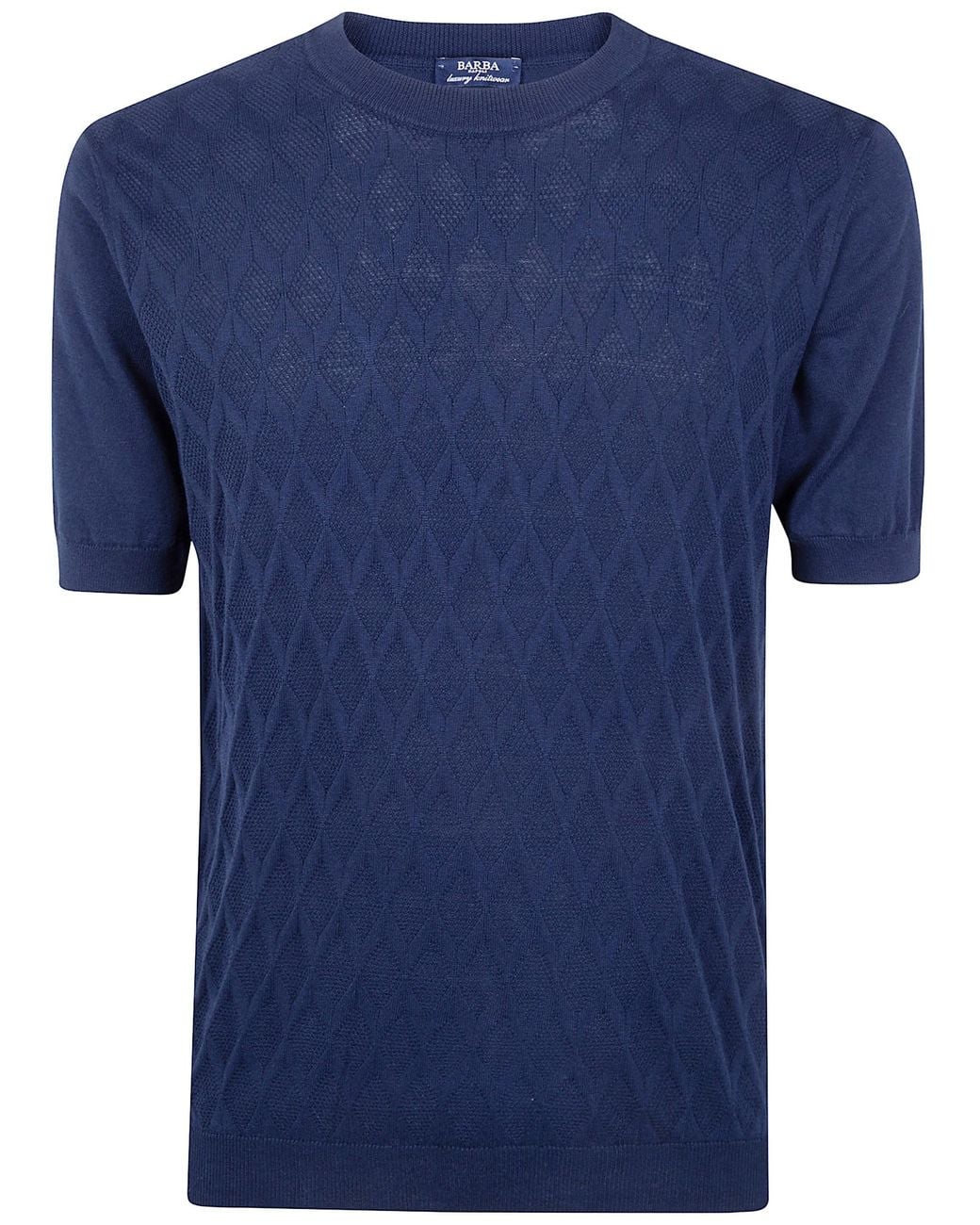 Barba Napoli Blue Embroidered Fancy Round Neck Sweater for men