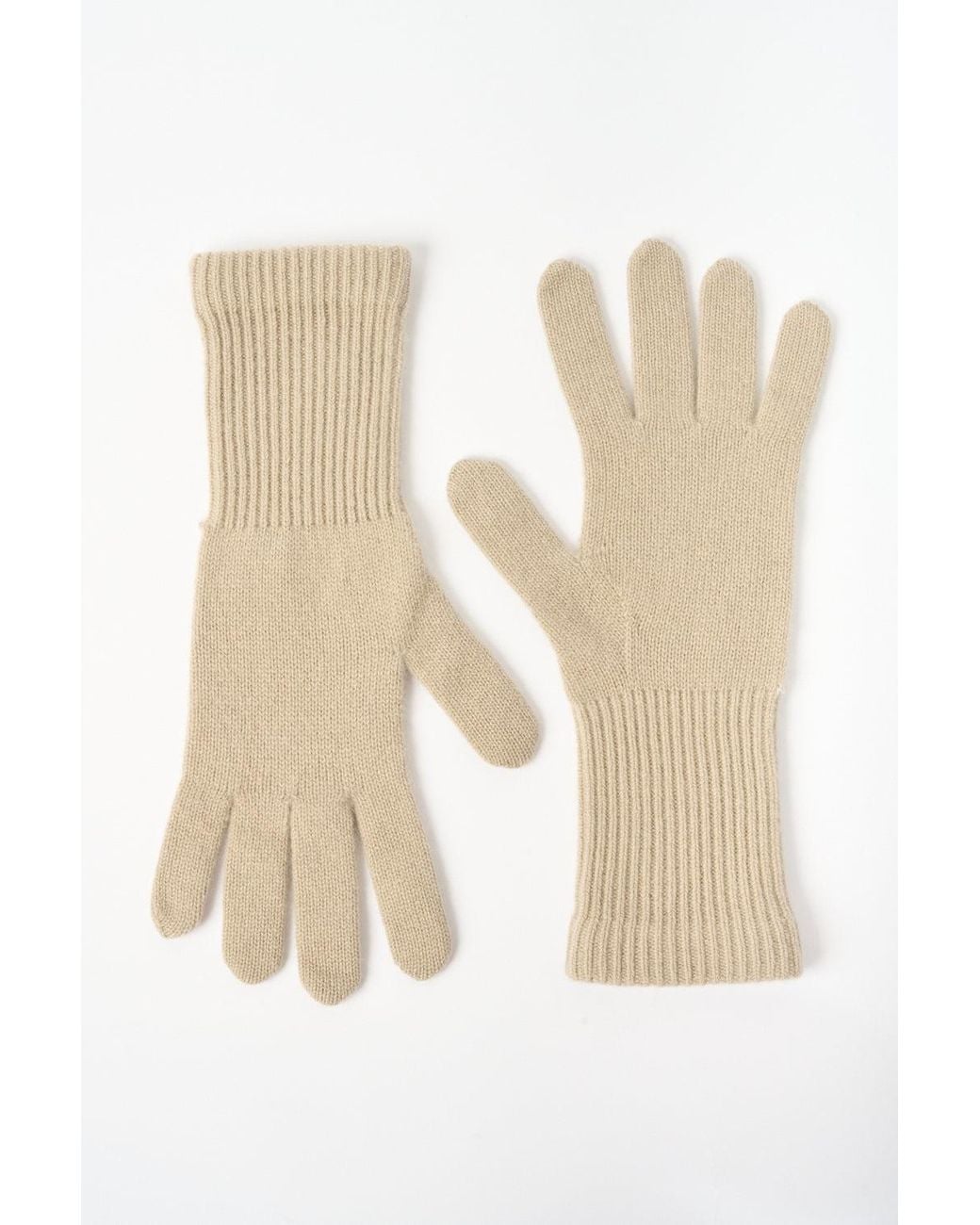 arch4 The Whitewood Gloves